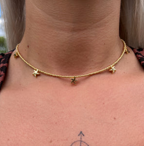 Golden Starfish Necklace